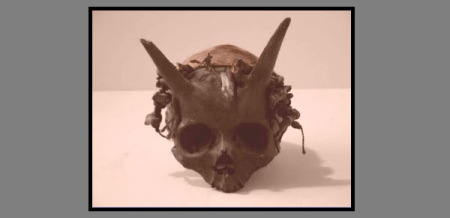 horned-skull