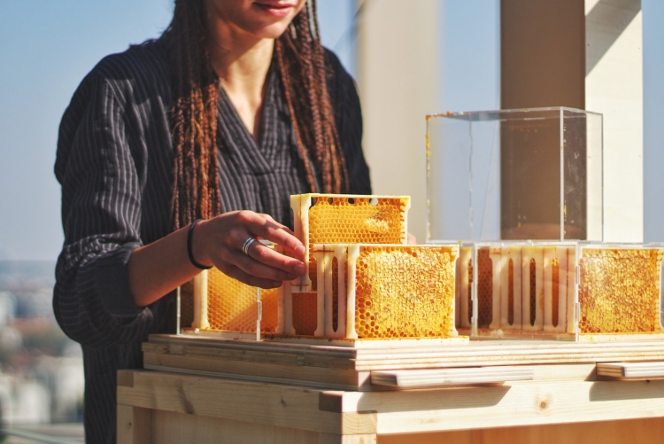 Летище в Италия наема на работа пчели