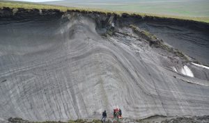 Учените размразяват 40 000-годишни организми, хванати в Арктически лед
