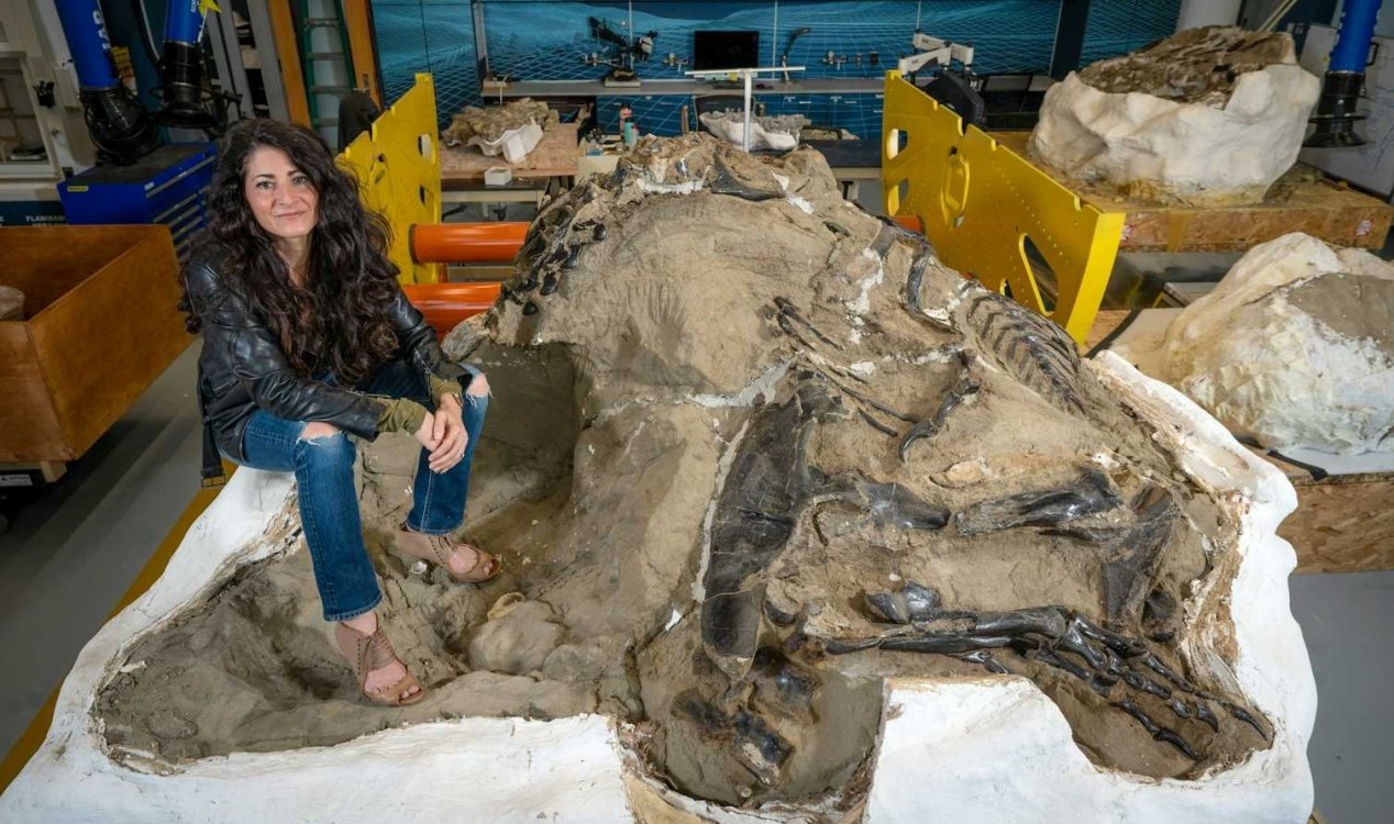 Мини Т. рекс