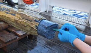 Живот, открит в синя вулканична струя от дъното на морето