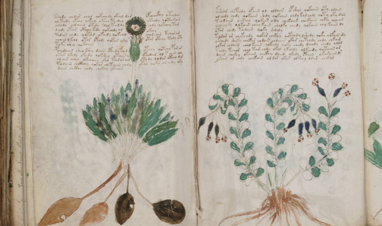 Ръкопис на Войнич