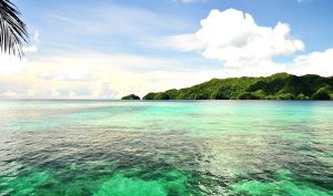 Подводните кабели могат да служат като система за ранно предупреждение за цунами