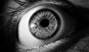 Разсекретените файлове описват малко известната програма за контрол на поведението на ЦРУ